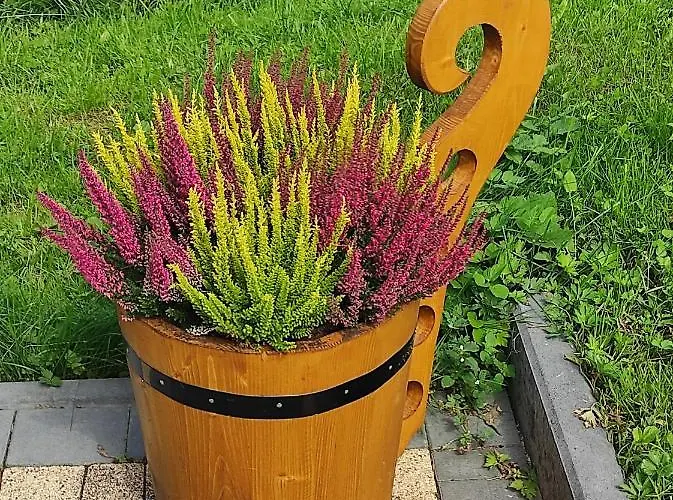 Goralski Z Bali Salas *