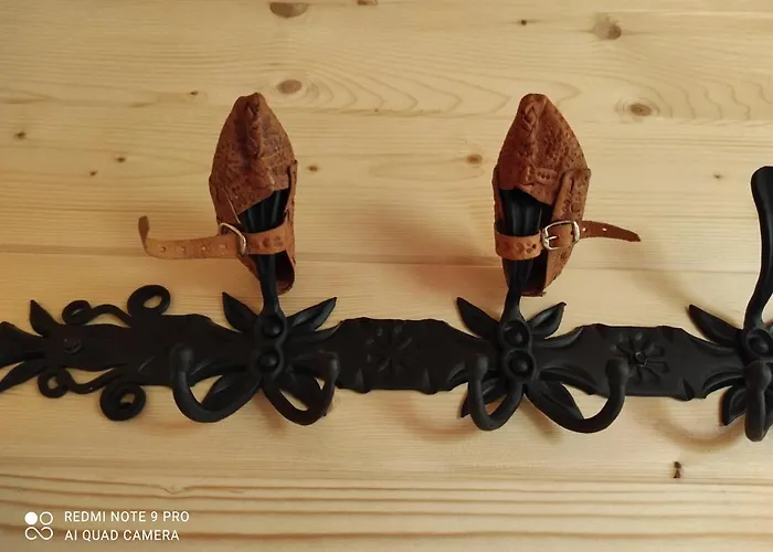 Goralski Z Bali Salas 扎布