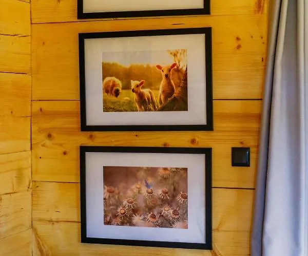 Goralski Z Bali Salas 木屋